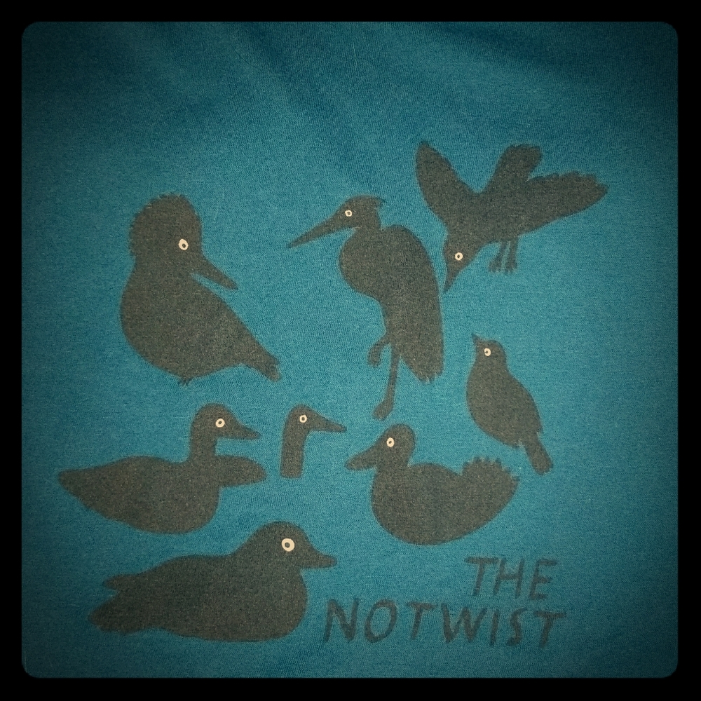 Notwist band t-shirt.  Size M.